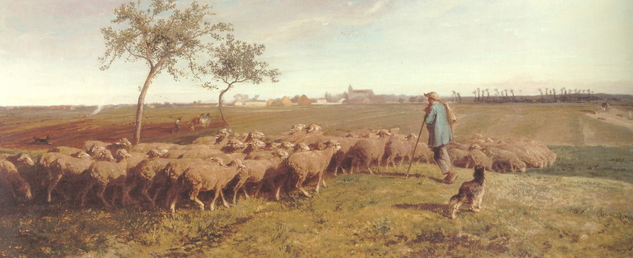 french herding image