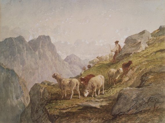 French herding image