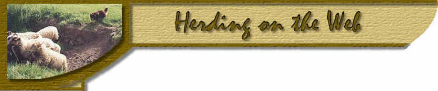 Herdingontheweb-header